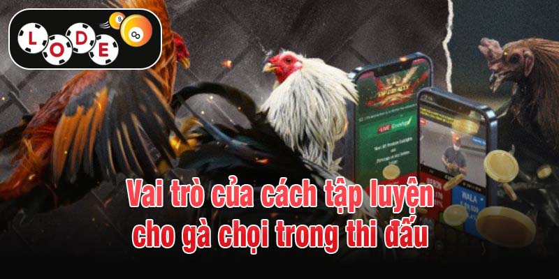 Vai trò của cách tập luyện cho gà chọi trong thi đấu