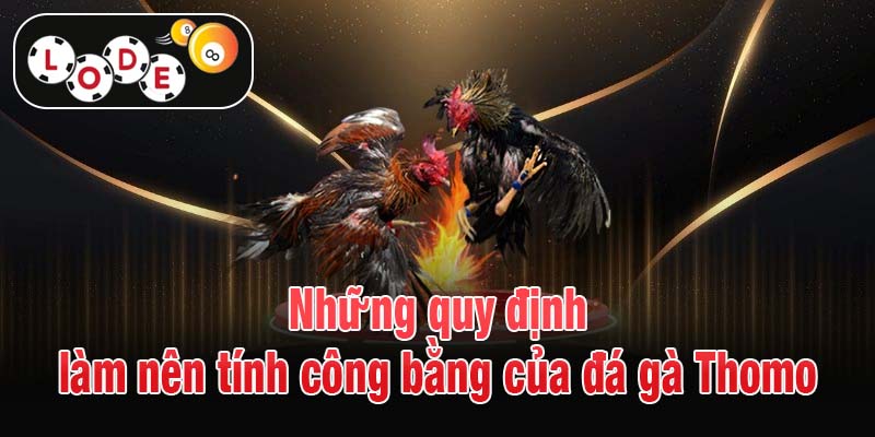 Những quy định làm nên tính công bằng của đá gà Thomo